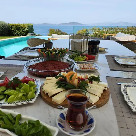 Villa The View
